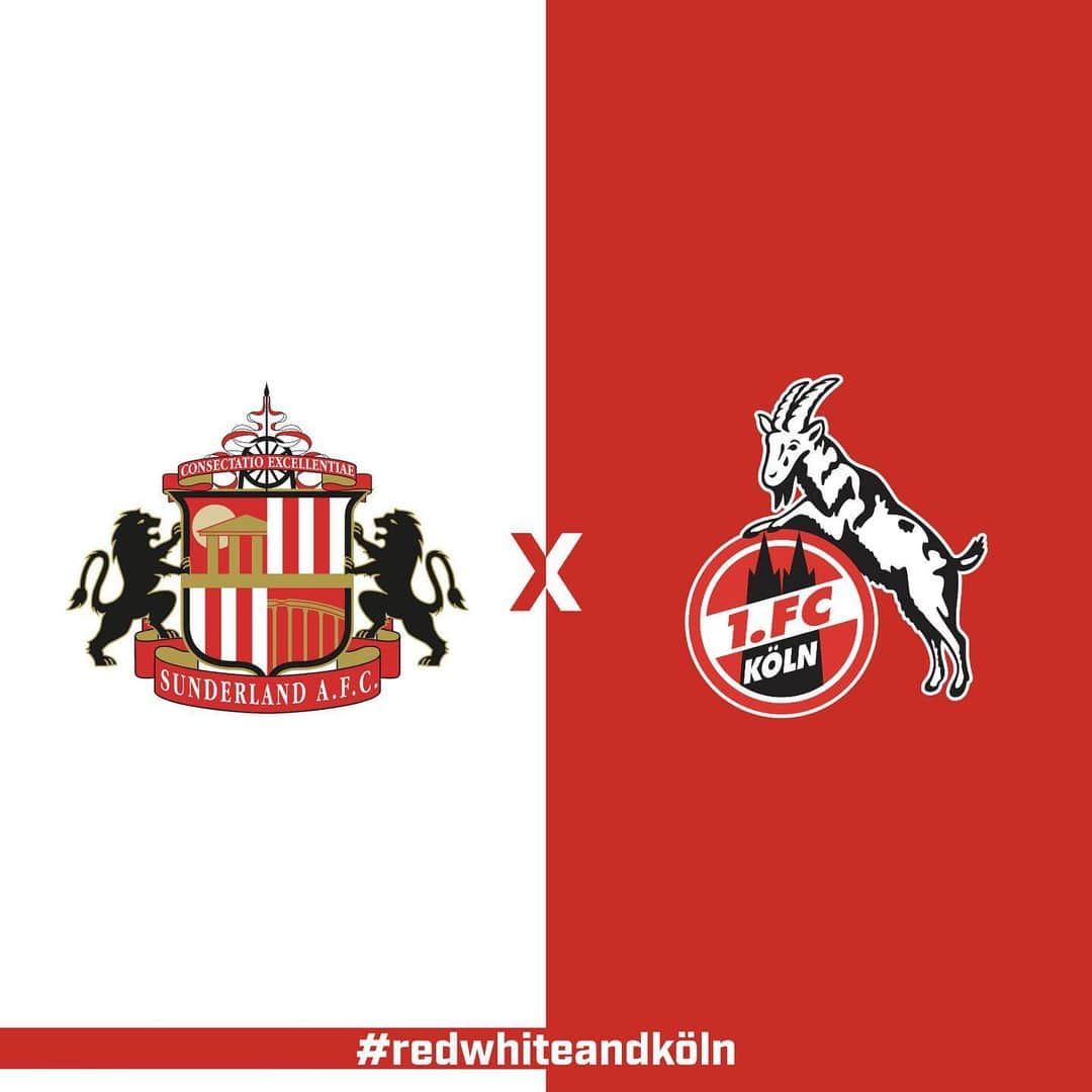 サンダーランドAFCさんのインスタグラム写真 - (サンダーランドAFCInstagram)「Best of luck today, @fckoeln! #SAFC #redwhiteandköln」5月17日 21時56分 - sunderlandafcofficial