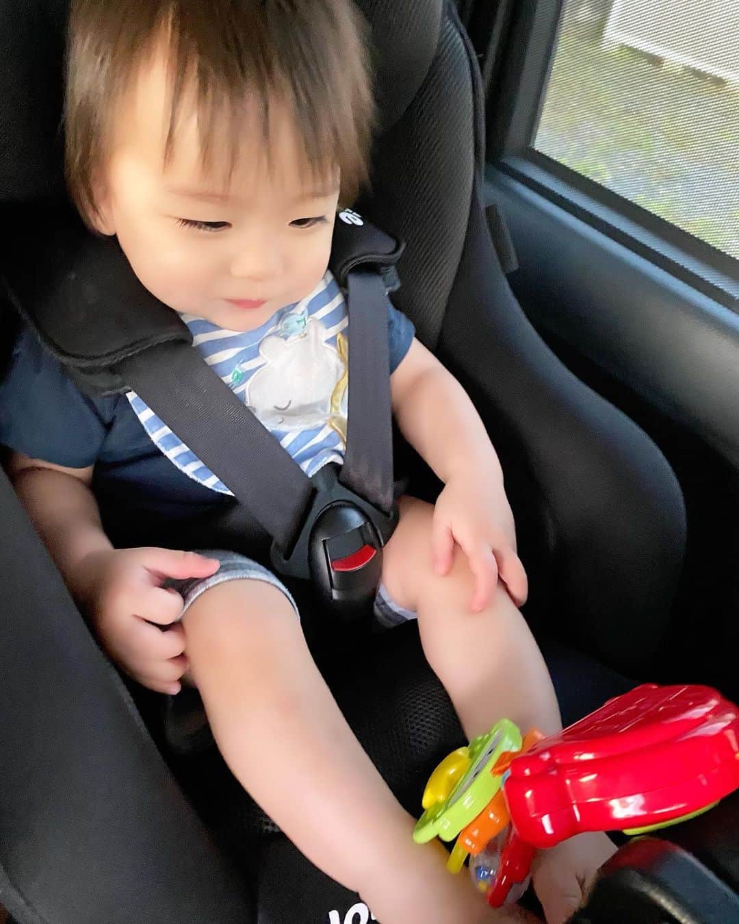 Momoeのインスタグラム：「このおもちゃ大好きだから 車に乗る度笑顔で遊ぶ🤗❤️ シートベルト締める時間も怒るくらい 好きすぎて笑う（笑） . . #happy #家事 #育児 #family #家族 #boy #smile #男の子 #息子 #code #love #lucky #kids #子供 #thankyou #宝物 #ベビー #fashion #follow #boy #パパ #ママ #家族写真 #男の子ママ #赤ちゃん写真 #photo #子育て #1歳 #flower」