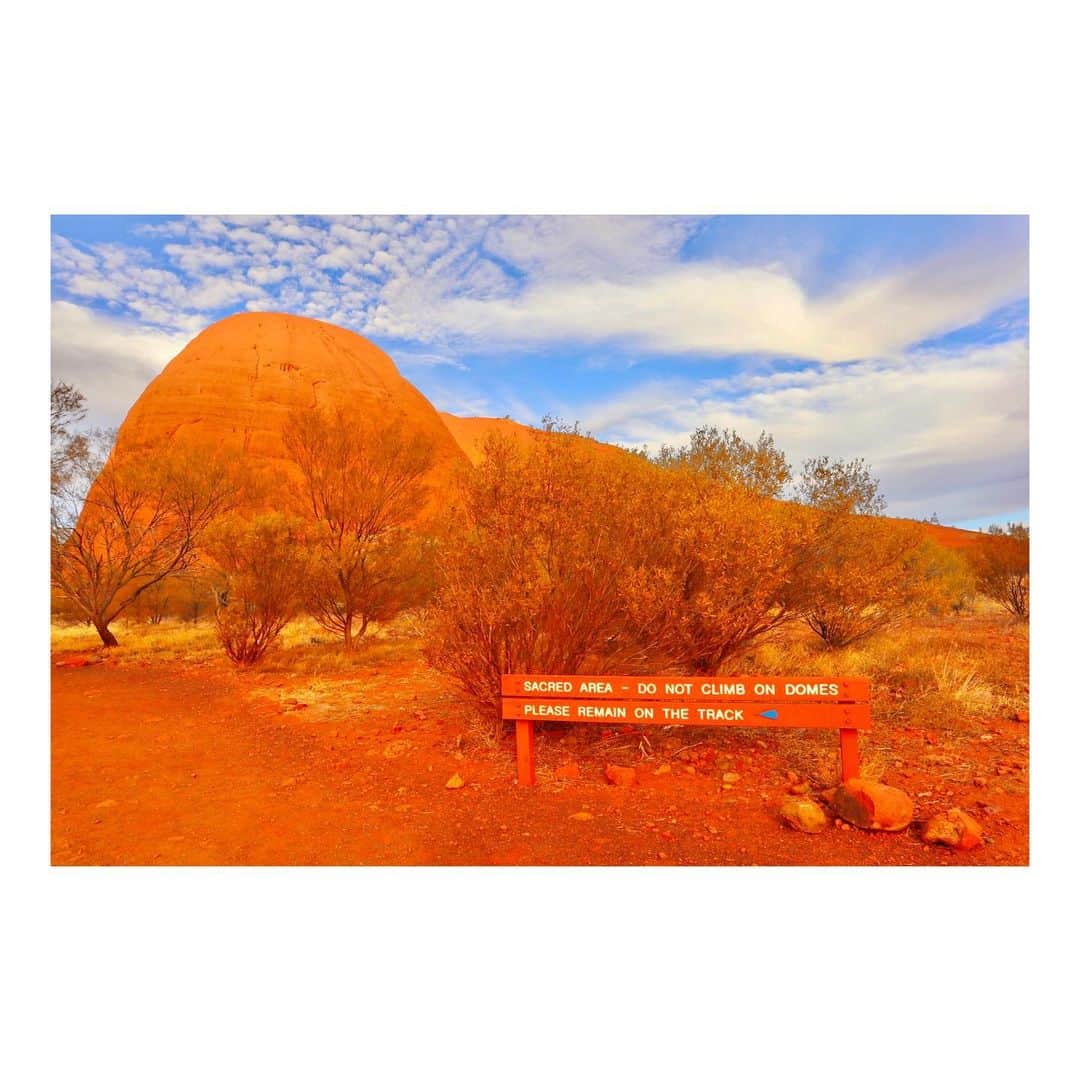 外岡えりかさんのインスタグラム写真 - (外岡えりかInstagram)「. 写真を選ぶのに悩みに悩んでいたら時間がかかってしまいました🙇‍♀️ ブログ更新したので是非ご覧ください📝  #一人旅 #オーストラリア #エアーズロック #ウルル #australia #uluru #katatjuta #katatjutanationalpark #カタジュタ #ulurukatatjutanationalpark #mountolga #ayersrock」5月17日 23時12分 - erica_tonooka
