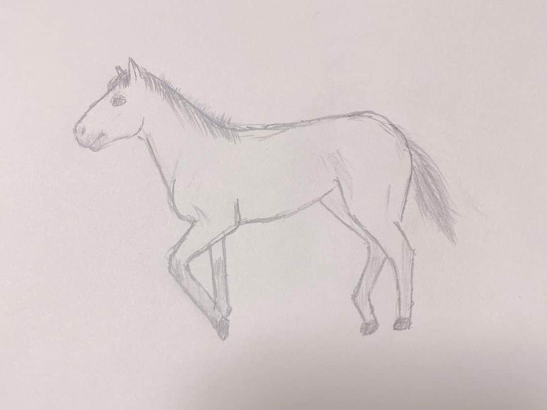 村川翔一さんのインスタグラム写真 - (村川翔一Instagram)「描いてみた。まとめ ↓タイトルもつけてみた！笑 雀とカラスの世間話。 速そうで遅い馬。 キャラっぽい馬。  どれが好みですか？？ #おうち時間 #stayhome #絵 #描いてみた　#デッサン  #雀 #カラス #馬」5月17日 23時32分 - shoichi.m.official
