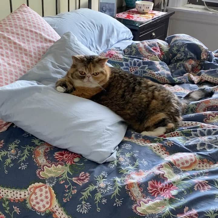 Tinaのインスタグラム：「Wheezy says good morning 😘」