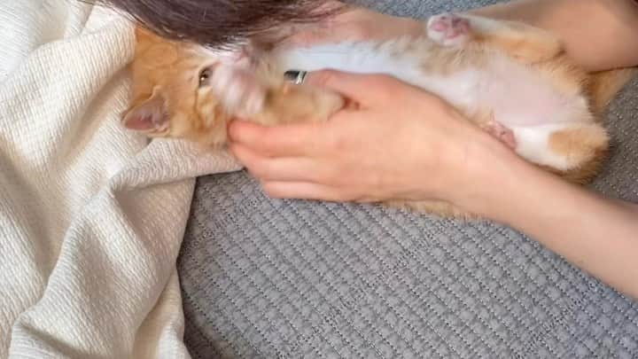イ・エルのインスタグラム：「_ 엄마와 딸의 온도차이 #김삐용구아바밤송이」