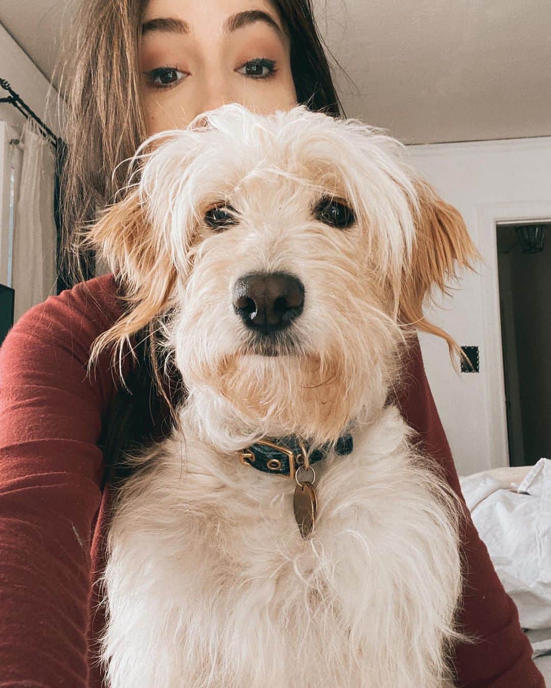 ケイト・ボイージェルのインスタグラム：「this weekend’s plans include bugging my dog 🦴🐾 happy Sunday!! .  #wheatensofinstagram #wheatenterrier」