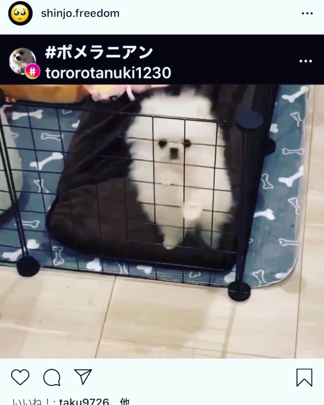 のインスタグラム：「凄い偶然。。 とろろ君が、新庄さんにリポストされていました‼️笑 めっちゃ嬉しいです😆 #新庄剛志 #石川雄洋#横浜denaベイスターズ」