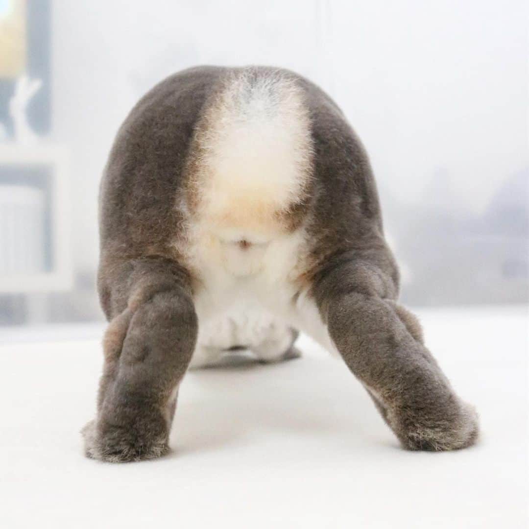Kayoのインスタグラム：「今日も笑うよ十文字♡ ぽってりクチビルに見えるのはワタシだけ？😂」