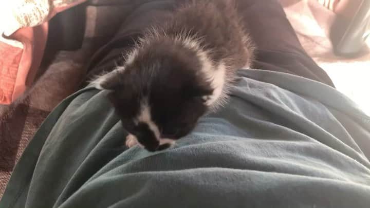 今日ヤバイ奴に会ったのグルメインスタ