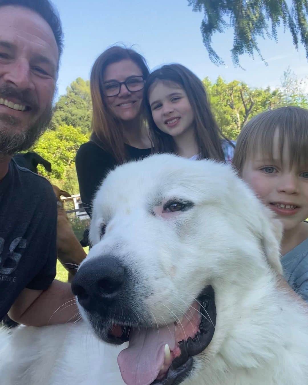 ティファニー・ティーセンさんのインスタグラム写真 - (ティファニー・ティーセンInstagram)「Welcome to the family Hank! Yep we got ourselves a fourth dog everyone. Why? Why not! A gentle giant this one is. @wagsandwalks #handsomehank #adoptdontshop #wagsandwalks #rescuedog #greatpyrenees」5月18日 10時06分 - tiffanithiessen