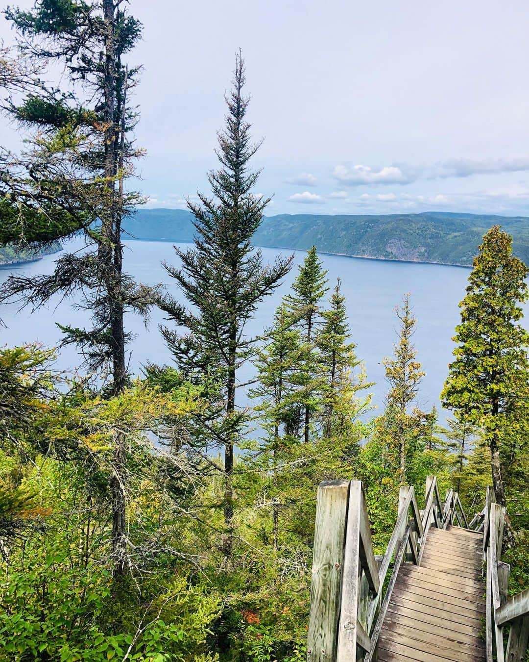 マチルド・ベセーラさんのインスタグラム写真 - (マチルド・ベセーラInstagram)「Joyeux retour à la Nature à tous 🌿💚!!! Souvenir d’un doux voyage au Canada au beau milieu des parcs naturels luxuriant du Québec ✨  @thenorthfacefr | @arkose.climbing | @scarpafrance | @wildcountry_official | @hondateamvip」5月18日 2時40分 - mathildebecerra