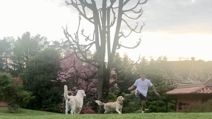 アレクシス・サンチェスのインスタグラム：「🏠🐶🐶🏠🙏🏽⚽️ @atomhumberoficia1」