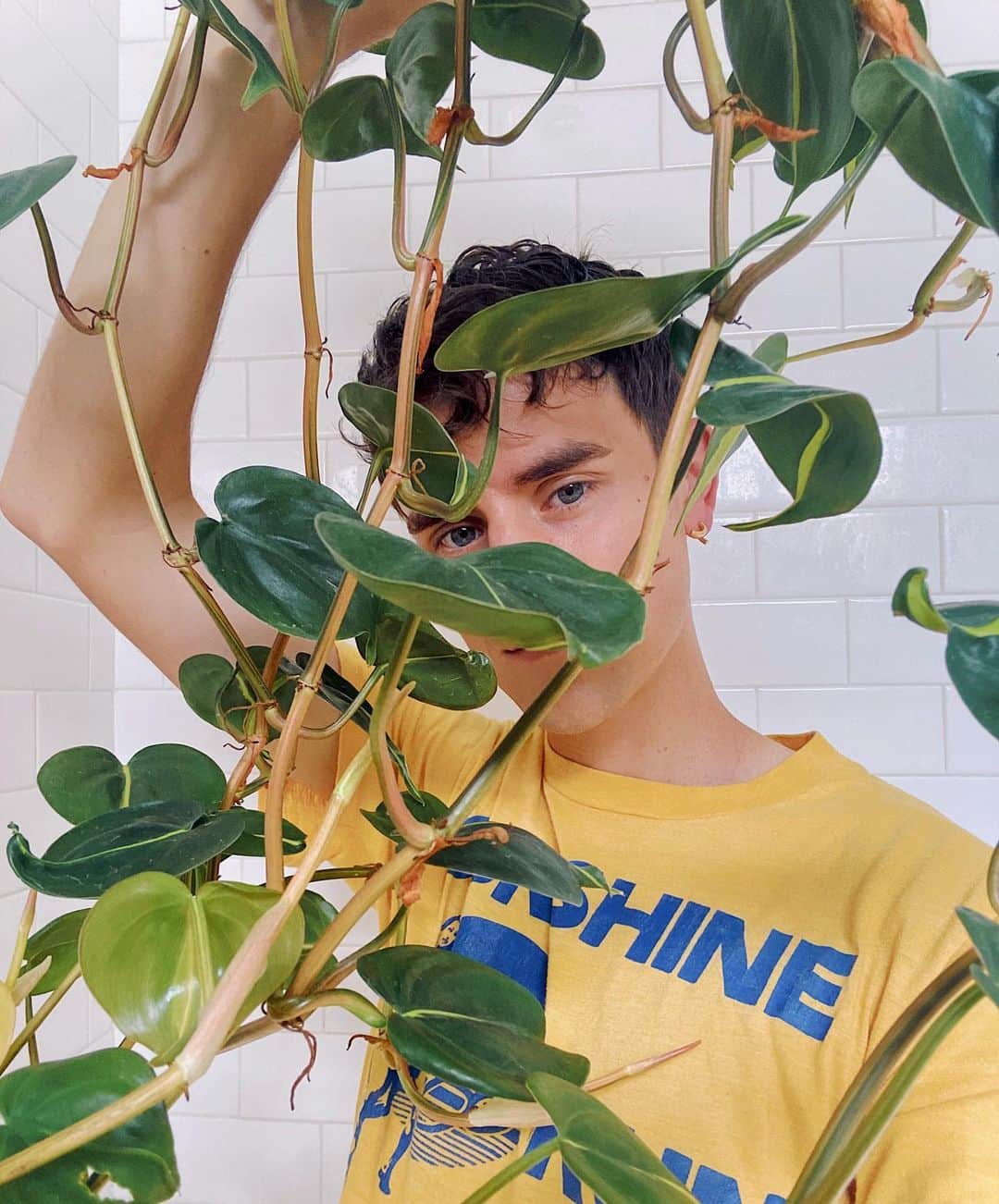 コナー・フランタのインスタグラム：「picked up a new roommate. loneliness levels suddenly plummeted. skin was deemed radiant. taste last seen exiting the thermosphere. peace had never been this swiftly obtained. i will now make us banana pancakes to celebrate. good day 🥞🌱🌤」