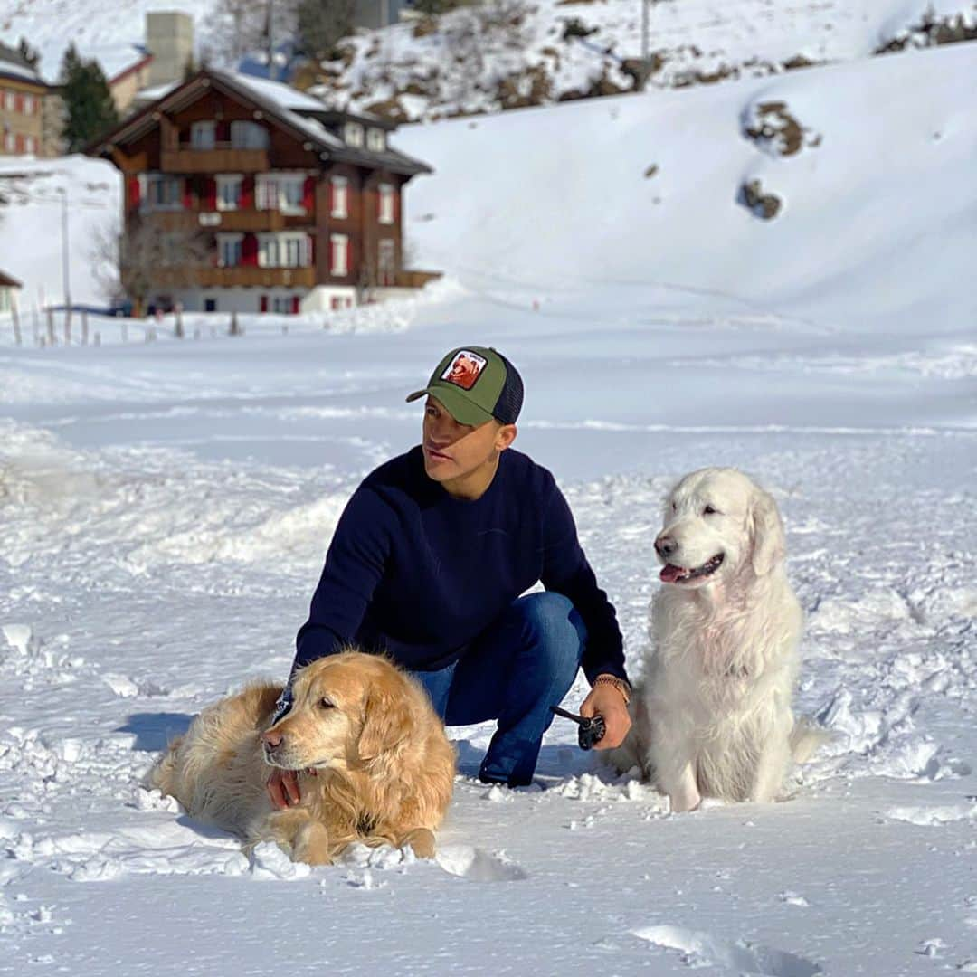 アレクシス・サンチェスさんのインスタグラム写真 - (アレクシス・サンチェスInstagram)「🏠🐶🐶🐶🐶🏠😊🙏🏽😊」5月18日 5時12分 - alexis_officia1