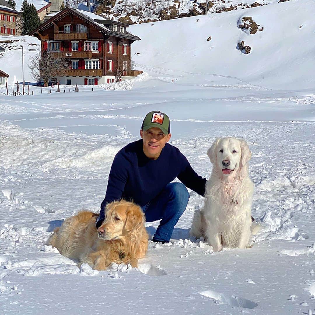 アレクシス・サンチェスのインスタグラム：「🏠🐶🐶🐶🐶🏠😊🙏🏽😊」