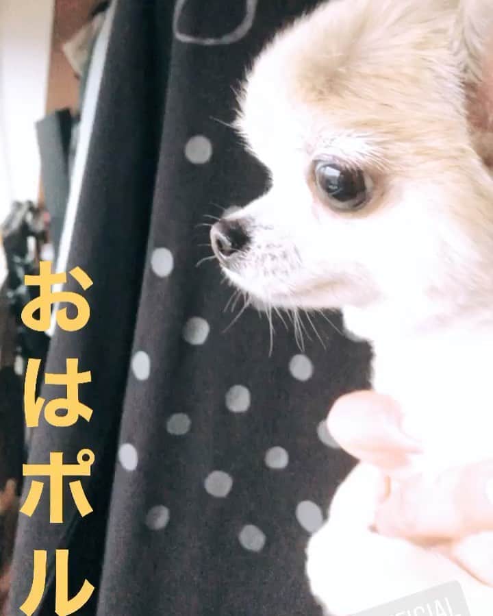 橋本塁のインスタグラム