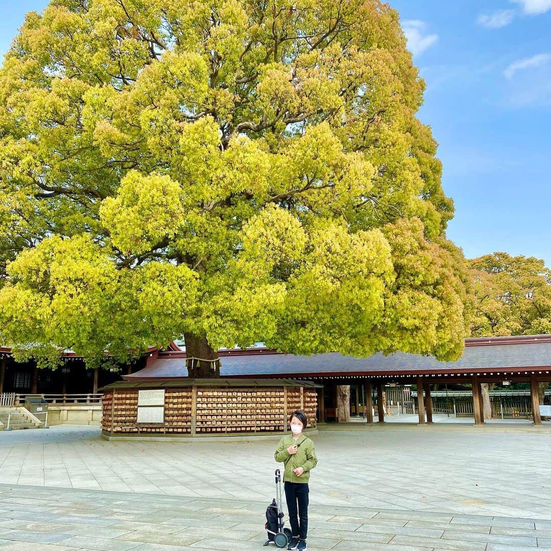 yukiさんのインスタグラム写真 - (yukiInstagram)「おはようございます。﻿ ﻿ まだ寒い時に行った明治神宮⛩﻿ みんなが幸せを感じられますように…﻿ ﻿ #お祈り好き﻿ #何かあると行きたくなる場所﻿ #happyカモン﻿ #騒がず時を待つ﻿ #明治神宮﻿ #milka」5月18日 7時57分 - milkayuki