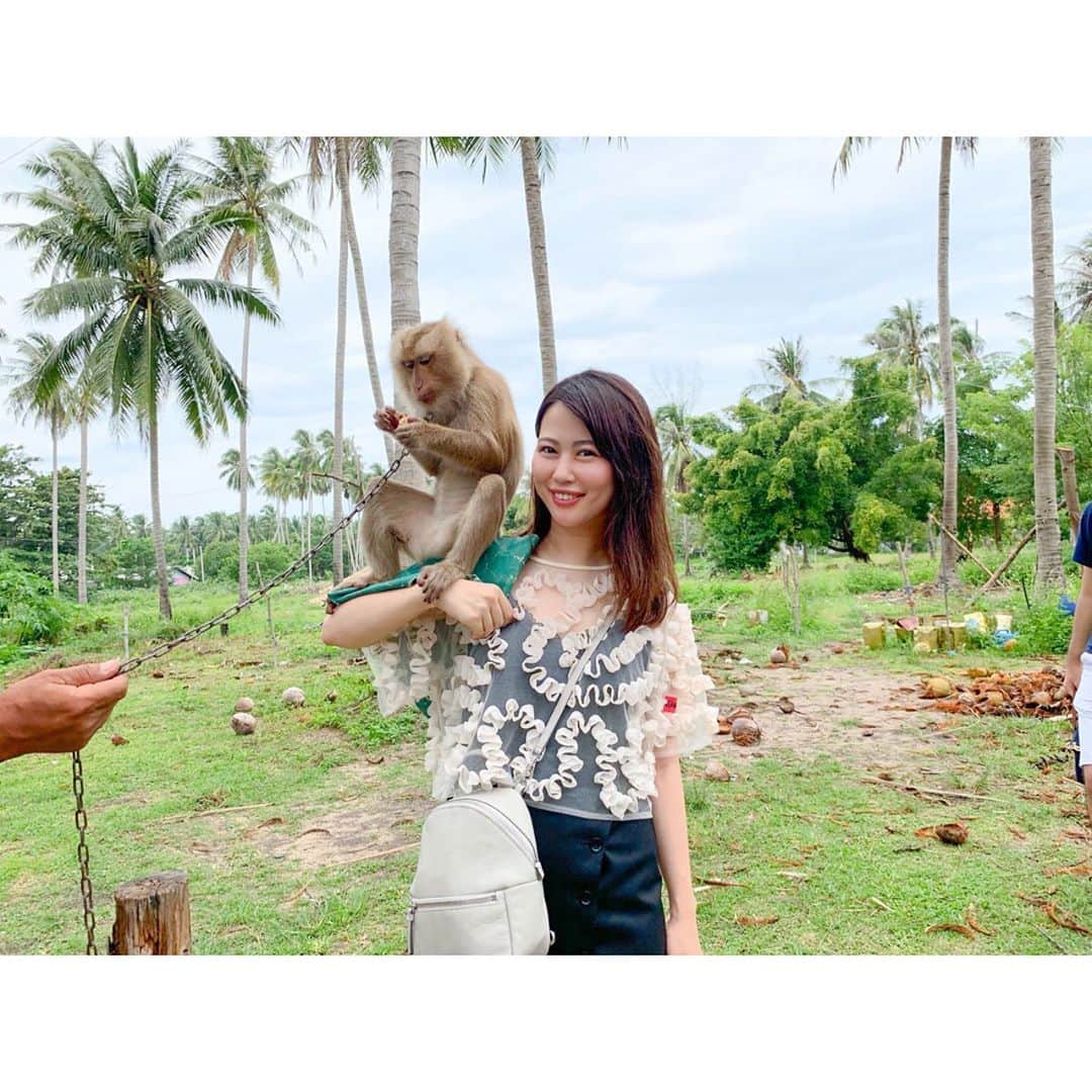安蒜幸紀のインスタグラム：「. . 🏠おうち時間で過去の写真を振り返る . ✈︎Thailand ココナッツファームで おさるさんに出会った～🐒 . ここではおさるさんが木に登って ココナッツを取ってきてくれるんです🥥 . 仕草がとってもかわいくて メロメロになりました♡ . #おうち時間#写真整理#タイ#タイ旅#旅#旅行#女子旅#サムイ#猿#動物#ココナッツ#ココナッツファーム#観光#旅の思い出#Thai#Thailand#samui#travel」