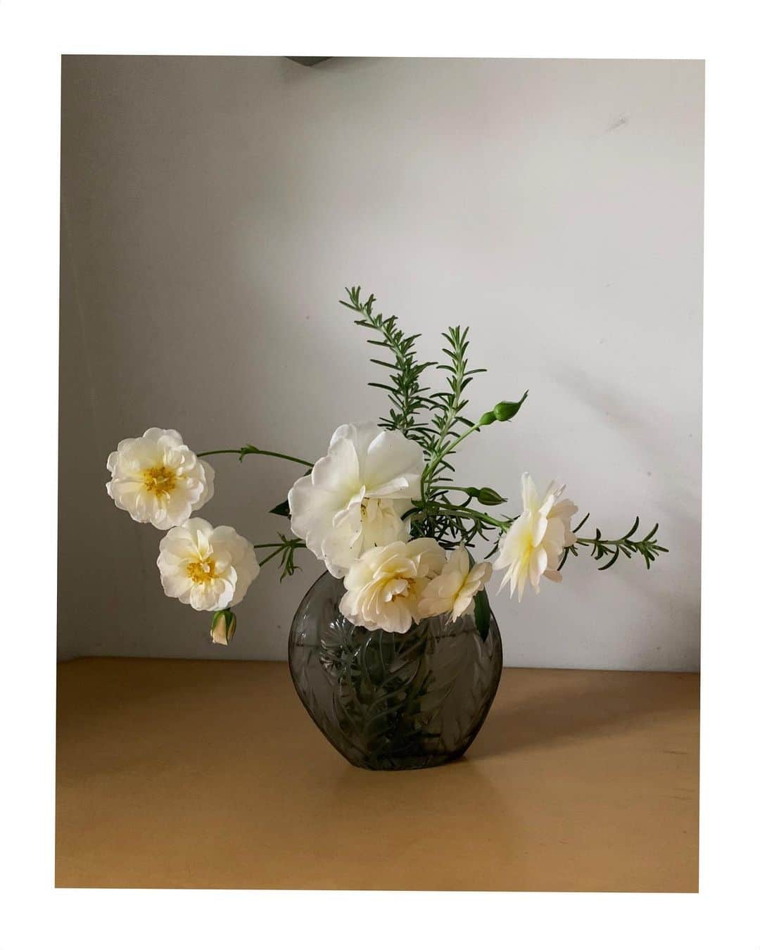 山崎陽子さんのインスタグラム写真 - (山崎陽子Instagram)「白薔薇。 薔薇とローズマリーを摘んで、いい香り♡ オットの作るイカ焼とお好み焼で祝いの夕餉。 いけばなと粉もんはオットの仕事。 #シュネーケニギン #薔薇 #オットのいけばな  #オットのお好み焼」5月18日 8時48分 - yhyamasaki