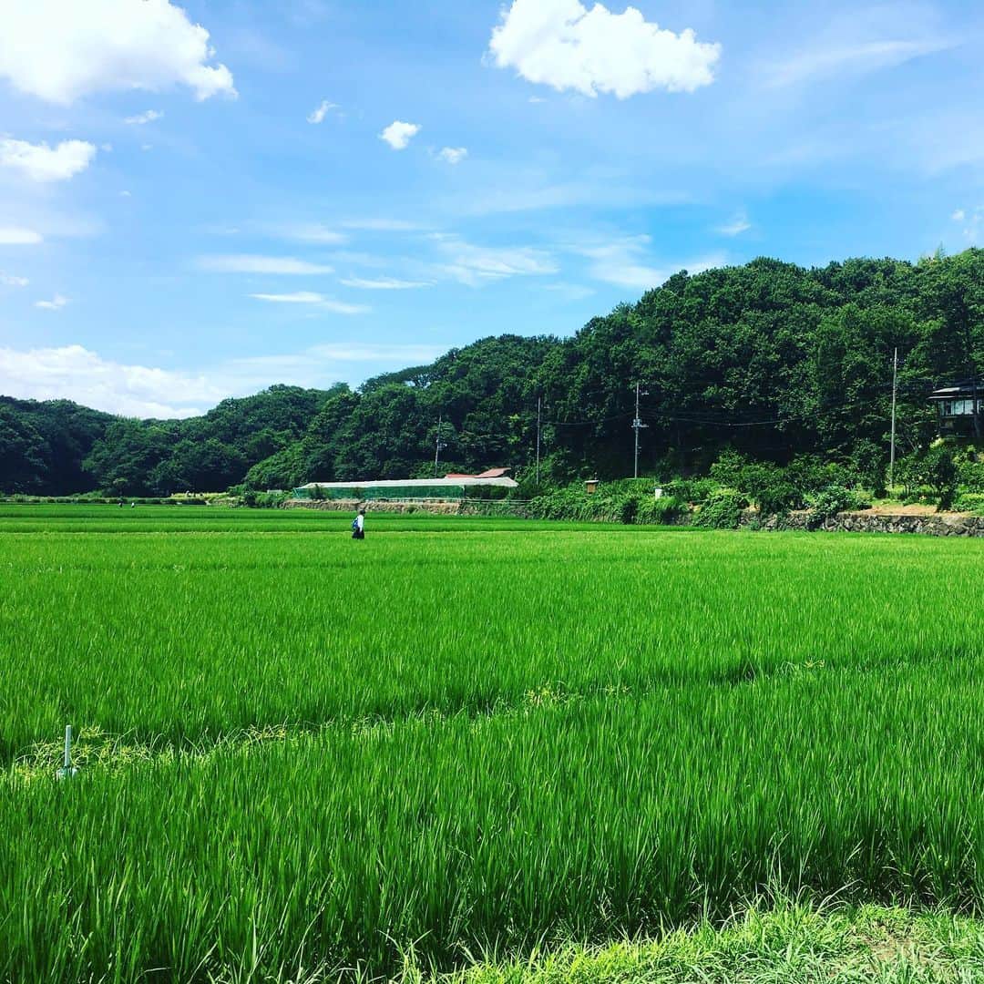 TBS「中学聖日記」のインスタグラム：「あの禁断の恋が再び…﻿ 5月25日(月)から6月10日(水)で﻿ 『中学聖日記 特別編』を放送が決定しました📺﻿ (※一部地域を除く)。 ﻿ ﻿ この特別編のために撮影した出演者コメントも番組中で流れます✨﻿ ﻿ 聖先生と晶の、胸が締め付けられるような純愛💘﻿ ぜひお楽しみください♪﻿ ﻿ ﻿ 『中学聖日記 特別編』 ﻿ 5月25日(月)23:56~24:55 第1話 ﻿ 5月26日(火)23:56~24:55 第2話 ﻿ 5月27日(水)23:56~24:55 第3話 ﻿ 5月29日(金)24:20~25:20 第4話 ﻿ 6月 1日(月)23:56~24:55 第5話 ﻿ 6月 2日(火)23:56~24:55 第6話 ﻿ 6月 3日(水)23:56~24:55 第7話 ﻿ 6月 5日(金)24:20~25:20 第8話 ﻿ 6月 8日(月)23:56~24:55 第9話 ﻿ 6月 9日(火)23:56~24:55 第10話 ﻿ 6月10日(水)23:56~24:55 最終話﻿ ﻿ #tbs #中学聖日記 #有村架純 #岡田健史 #町田啓太 #吉田羊」