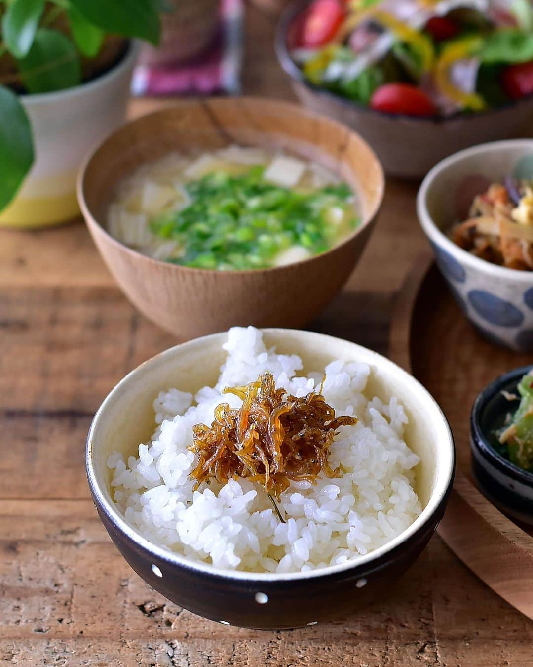 セーラさんのインスタグラム写真 - (セーラInstagram)「* 2020/05/18 * + . . 昨日作った物でお昼ご飯。 お野菜たっぷりです( ˊᵕˋ )。 . . コトコト煮込んだ大根の美味しこと！😋 お汁まで全部美味しい！ . . 後は、生ハムのっけのサラダと お味噌汁はお豆腐とエノキ ご飯にはちりめん山椒のっけて。 . . お野菜たっぷりご飯 #ごちそうさまでした ◥█̆̈◤࿉∥ . ・ ・ ・ #お昼ご飯 #lunch #ランチ #野菜ランチ #無農薬野菜 #有機野菜 #宅配野菜  ##oyasaiyasai ##oyasaiya菜 #おうちごはん」5月18日 19時45分 - se_ra0227