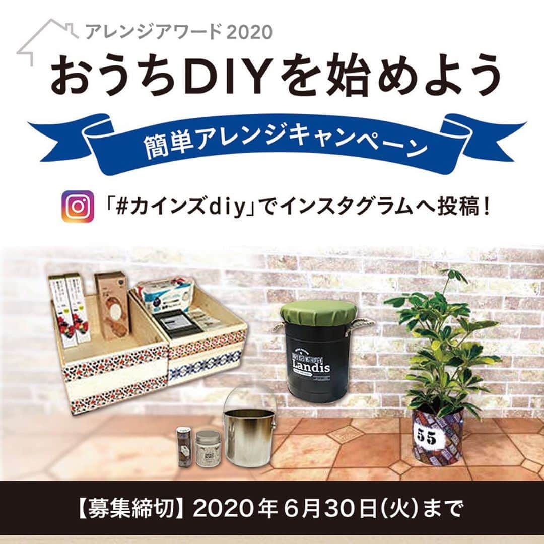 yupinokoのインスタグラム