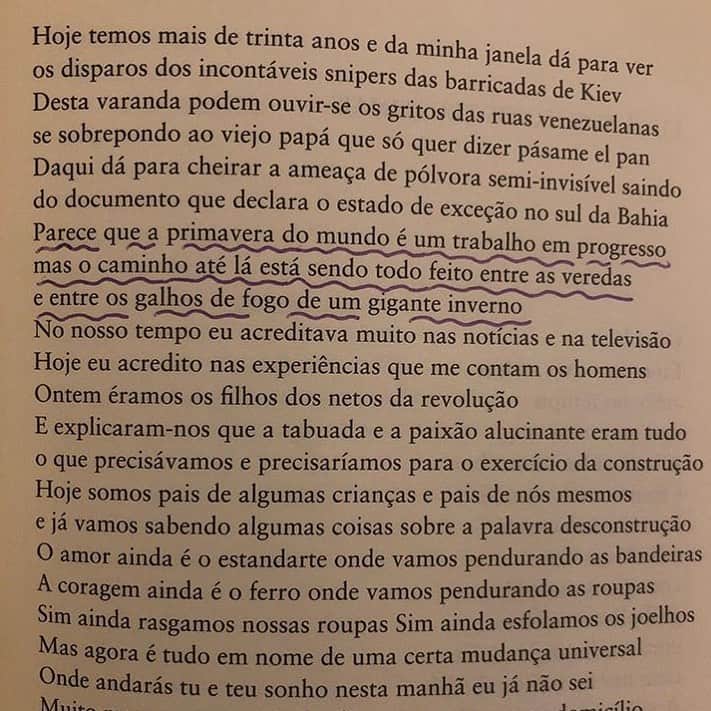 のインスタグラム：「faz frio / o amor ainda é o estandarte onde vamos pendurando as bandeiras / jóquei-matilde campilho」