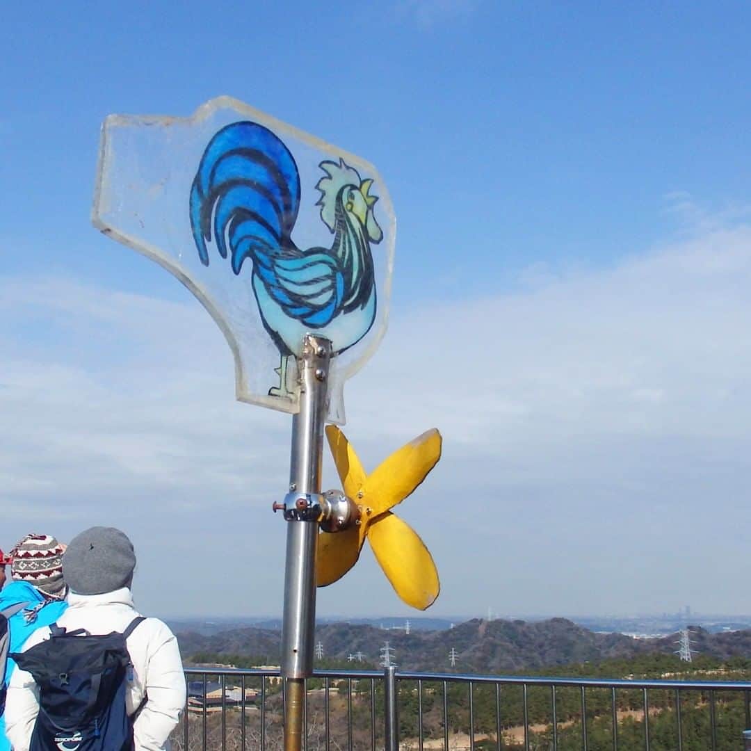 【公式】オーシャンリゾートホテル マホロバ・マインズ三浦さんのインスタグラム写真 - (【公式】オーシャンリゾートホテル マホロバ・マインズ三浦Instagram)「三浦半島最高峰(242m)の大楠山頂上展望台からの景色。東側は東京湾や房総半島、西側は江の島、や伊豆半島、雄大な富士山まで一望できます。  #大楠山 #山登り #あおぞら #青空 # #山好き #mtfuji #登山 #低山 #山登り好きな人と繋がりたい #空 #ハイキング #絶景スポット #神奈川旅行 #トレッキング #絶景ポイント #絶景ポイント巡り #展望台からの景色 #横須賀市 #マホロバマインズ #maholovamindsmiura #miurakaigan #三浦市 #三浦半島 #横須賀 #maholovaminds #三浦 #マホロバ #三浦海岸駅 #マホロバマインズ三浦」5月18日 12時00分 - maholova_minds_miura