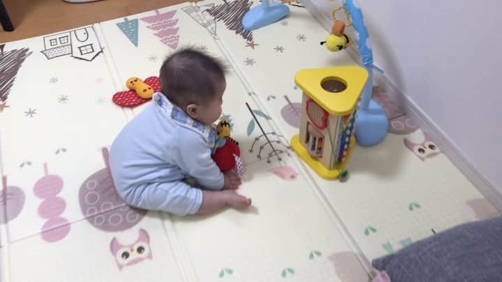 野口綾子のインスタグラム