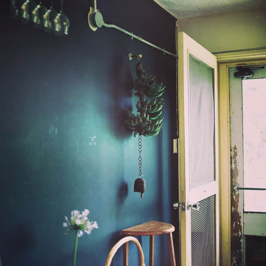 tetrrineのグルメインスタ