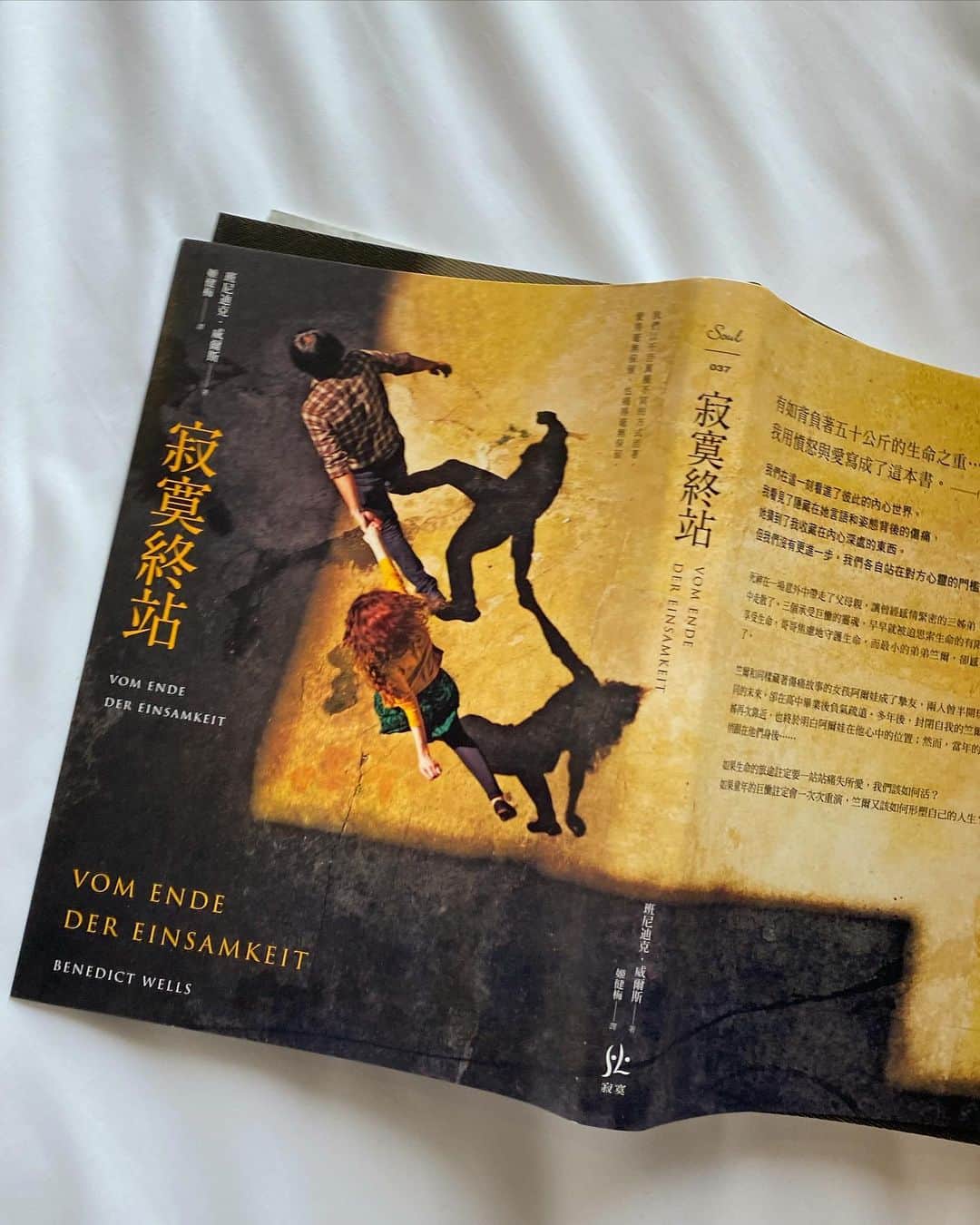 吳子霏（Ellen Wu）のインスタグラム：「#寂寞終站 #ellensbookcase」