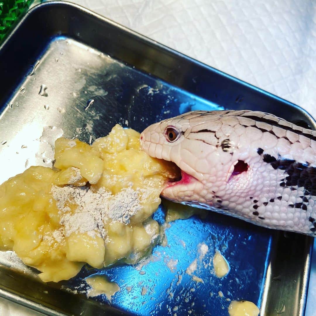 進祐哉のインスタグラム：「🍌🍌🍌」