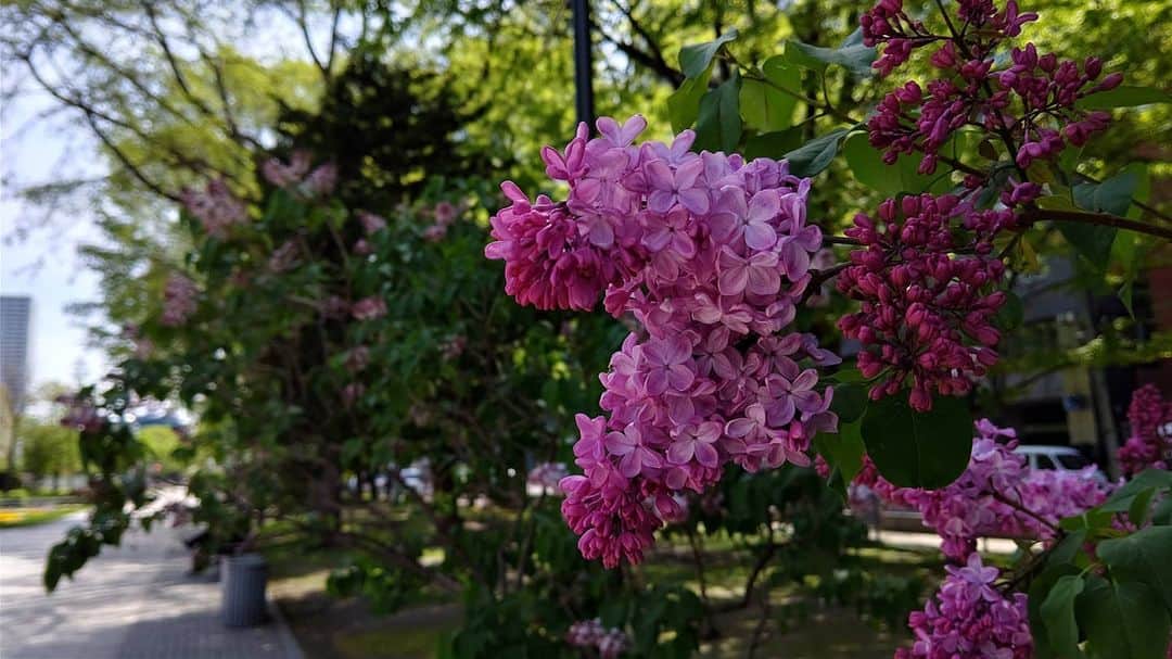 北海道放送「今日ドキッ!」のインスタグラム