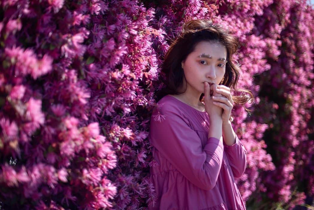 大西沙紀さんのインスタグラム写真 - (大西沙紀Instagram)「ph @photographernori  hm @hm_ayumi  昨年の春満開の頃。  #spring #cherryblossom #桜 #撮影」5月18日 14時59分 - sakionishi