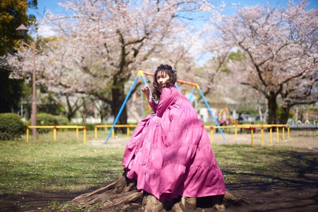 大西沙紀のインスタグラム：「ph @photographernori  hm @hm_ayumi  昨年の春満開の頃。  #spring #cherryblossom #桜 #撮影」