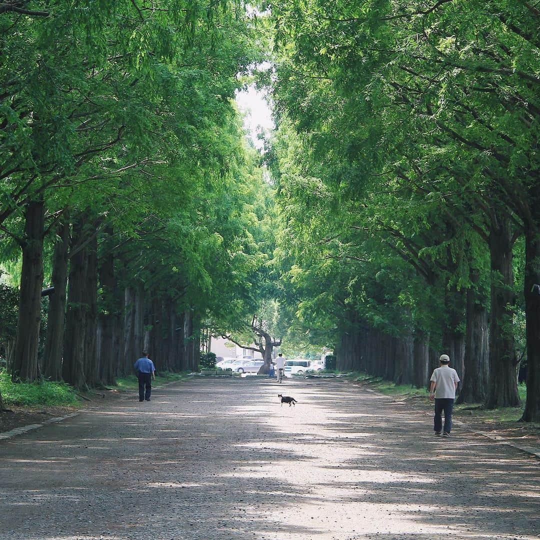 平塚市のインスタグラム