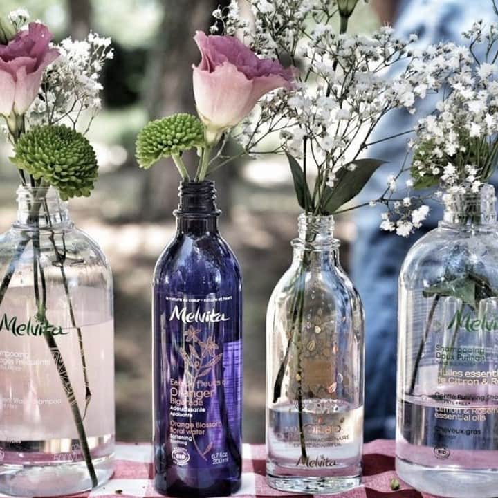 Melvita Officialのインスタグラム：「Avez-vous déjà pensé à réutiliser vos flacons Melvita ? 🌿  Laissez parler votre créativité et donner une seconde vie à vos anciens contenants. Pourquoi pas de jolis bouquets champêtres, parfait pour égayer son intérieur ! 🌸  Merci à @blackbeautybag pour cette jolie idée 😍, on attend vos créations avec impatience !  #Melvita #nature #zerodechet #consommerautrement #bio #cleanbeauty」