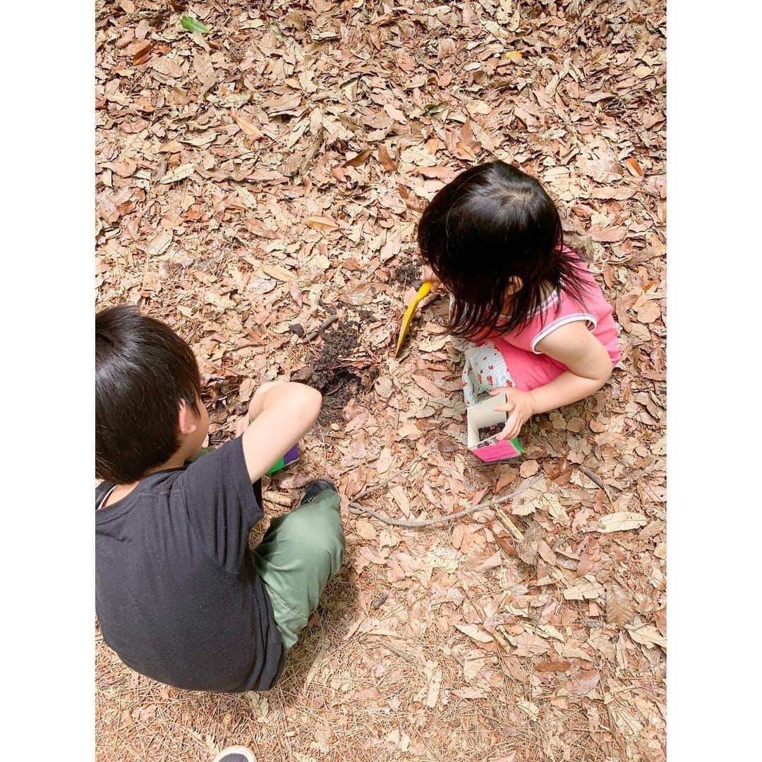 空木マイカさんのインスタグラム写真 - (空木マイカInstagram)「新しい仕事のあり方🌿 ・ どうしても今日中にやりたい仕事があるんだけど、家にいて子ども見ながらできる気がしない…ってことで思い切ってお弁当作って外へ！はかどる〜👏そして気持ちいい〜！ ・ 子どもらはひたすら石投げしたり、ダンゴムシ集めたりしてました。が！最後は蚊に負けて退散😂時期がやってきましたね〜🦟 ・ まだまだ仕事は半分以上残ってるので、おやつのスイカとマンゴー食べたら頑張ります。子どもらはダンゴムシたっぷりの土に種を植えるそうです。マンゴーの種、ここに入るのか…？（笑） #働き方改革 #子どものいる暮らし #4才　#6歳」5月18日 15時29分 - maika_utsugi