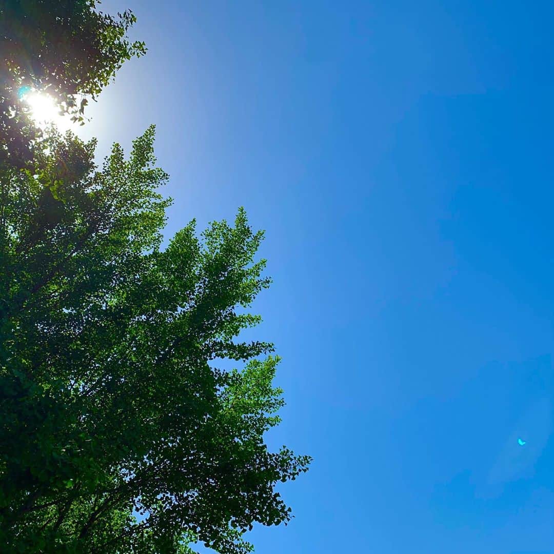 テミンのインスタグラム：「☀️🌙」