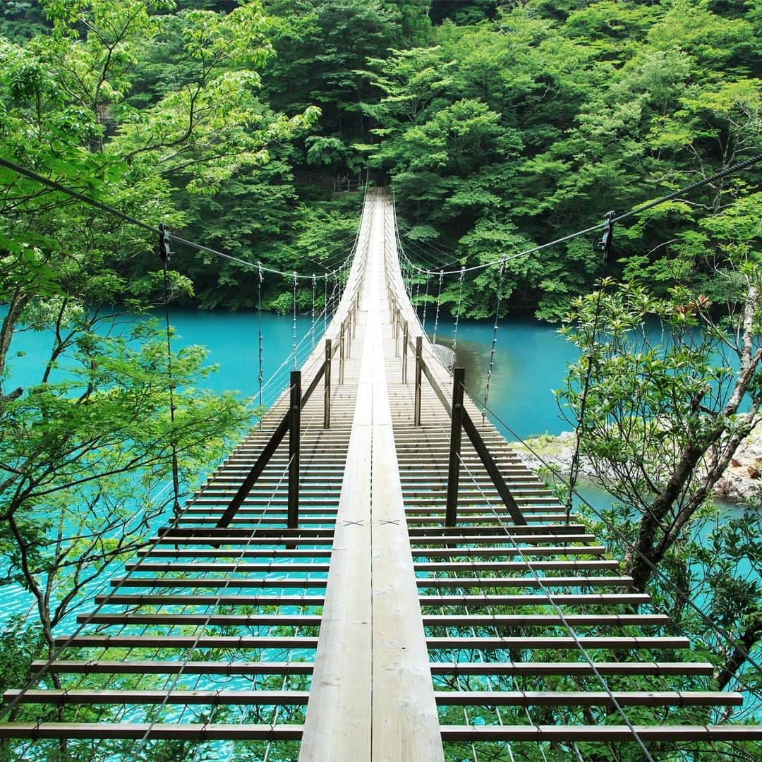 JALさんのインスタグラム写真 - (JALInstagram)「. The Yume no Tsuribashi Suspension Bridge crosses over the enchanting emerald green water below. #PicturePerfectMay  幻想的なエメラルドグリーンの湖にかかる #夢のつり橋✨ . . Post your memories with #FlyJAL #旅を夢見て  #JapanAirlines  #STAYHOME #japan  #yumenotsuribashi」5月18日 17時30分 - japanairlines_jal