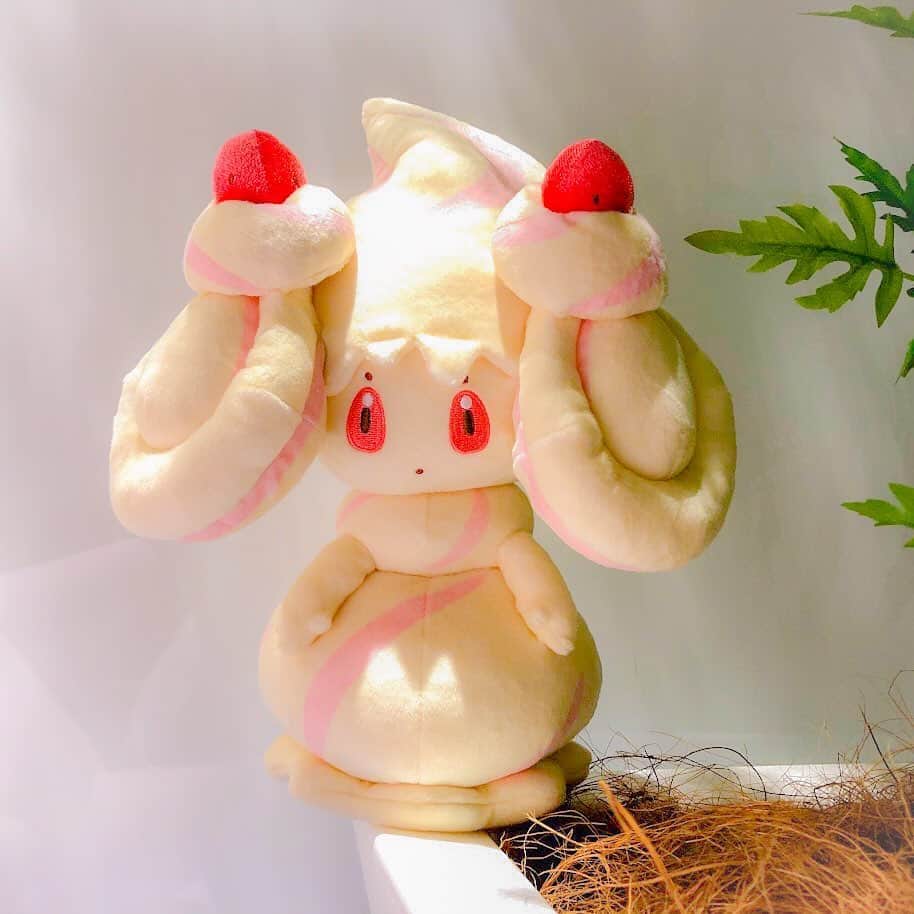 ピカチュウ公式Instagramのインスタグラム