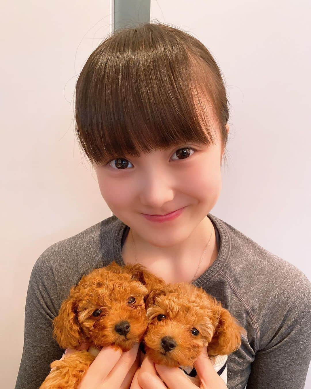 本田紗来さんのインスタグラム写真 - (本田紗来Instagram)「「ルルロロ」 🐶先輩方🐶の小さい頃の服をいただいたそうです。 あと1週間で2ヶ月🙌 いっぱい食べて飲んで大きくなろうね💚  あ、あのお恥ずかしながら飼い主様（さら）着用の青いTシャツなんですけど、真凜様からおさがりいただきました＼(^^)／」5月18日 18時14分 - sara_honda0404