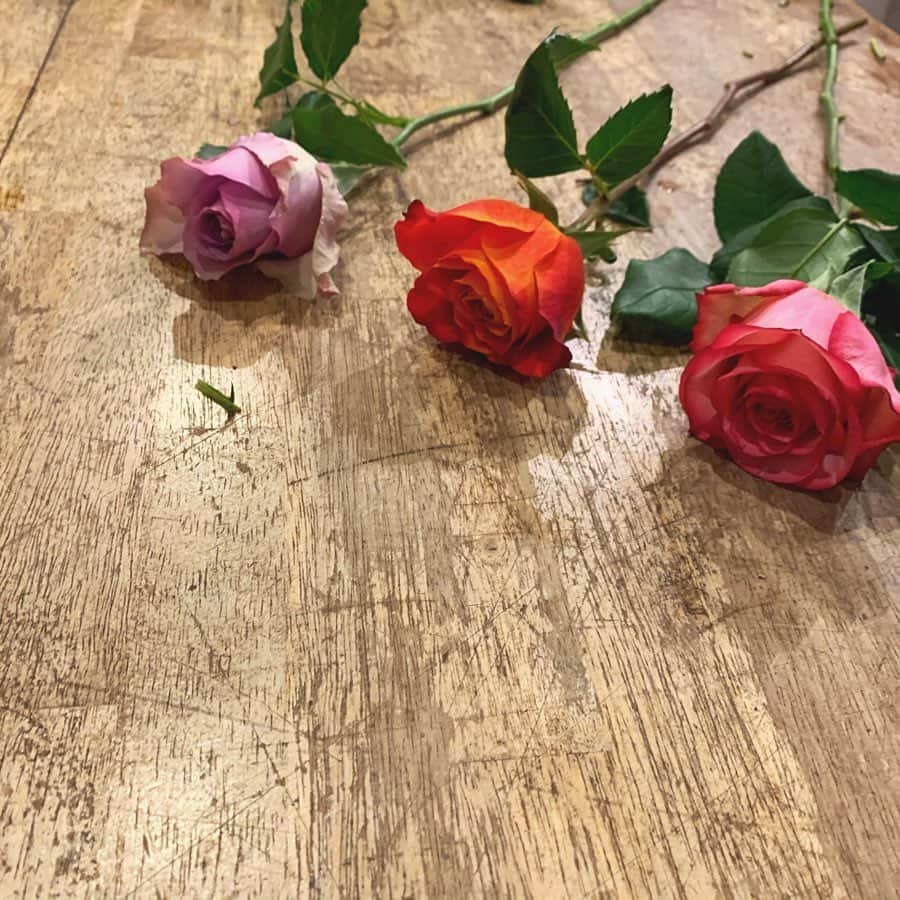 山田麻由のインスタグラム：「.﻿ ﻿ ﻿ ﻿ ﻿ ﻿ #CheerSDGs で初めて取材させていただいた﻿ #AFRIKAROSE の取材先での写真🌹﻿ ﻿ ﻿ ﻿ 今まで見たバラの中で﻿ 1番綺麗でお花が大きくて驚いたなあ🤔﻿ ﻿ ﻿ ﻿ ﻿ #CheerSDGs のサイトに詳しく﻿ 書いてあるので皆さん読んでみてね🌹❤︎﻿ ﻿ ﻿ ﻿ ﻿ ﻿ ﻿ ﻿ インスタ全然更新してないけど﻿ 最近の楽しいことはカメラロールを﻿ あさることくらいだから #過去pic とか載せていく🌟﻿ ﻿ ﻿ ﻿ #おうち時間 #過去pic #カメラロール整理中 #キャンパスラボ #AFRIKAROSE #撮影 #取材」