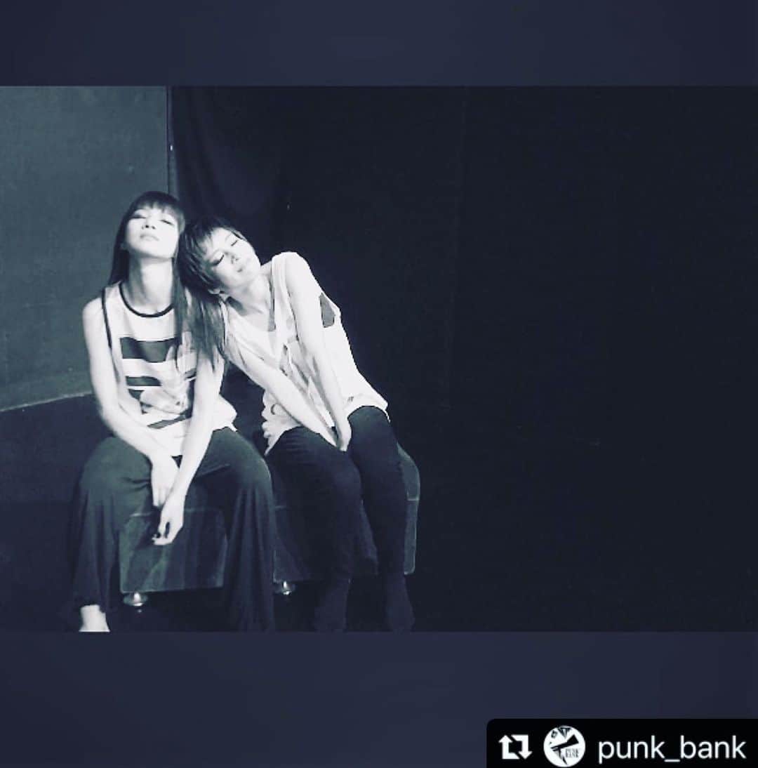 真崎ゆかのインスタグラム：「お久しぶりです☺️ 皆さんお元気ですか？ 私は元気です。 ・ 今後、PUNKBANKの作品の裏話や名言、お気に入りのシーンなどをメンバーみんなでUPしていくよ🙌 数日前から始めたばかりですが、 @punk_bank のぞきに来てね♡ ・ #Repost @punk_bank with @make_repost ・・・ ‪ナウシカ「ふざけたガキだ。チコの実長靴いっぱい食って寝ろ」‬ ・ ‪#LadyStardust ‬ ・ 本を読んだ時から、この気性の荒いナウシカが愛おしくてたまらなかったなぁ。 ‬ ・ ‪#PUNBANK‬ ‪#私の憧れ‬ ‪#ナウシカ‬ ‪#台詞‬ ・ 真崎@masaki_yuka でした。‬」