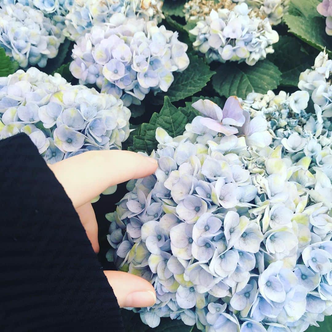 ミラのインスタグラム：「I never get bored of these flowers」