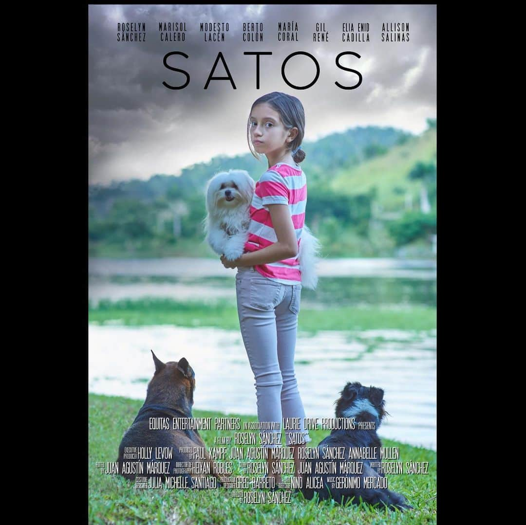 ロゼリン・サンチェスさんのインスタグラム写真 - (ロゼリン・サンチェスInstagram)「Será una noche muy especial... la familia de @satosfilm está de celebración! El jueves 4 de junio podrán disfrutar de nuestro hermoso cortometraje por televisión en Puerto Rico.  Pendiente a más información en las próximas semanas ⭐️ 🇵🇷🐶」5月19日 5時05分 - roselyn_sanchez