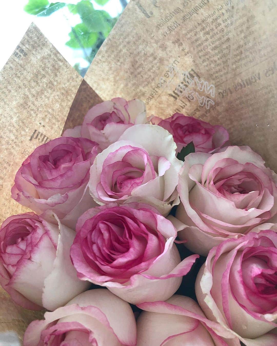美舟さんのインスタグラム写真 - (美舟Instagram)「Flower Life🌹  #thanks #frowerlife #癒し」5月18日 20時59分 - mifune2014