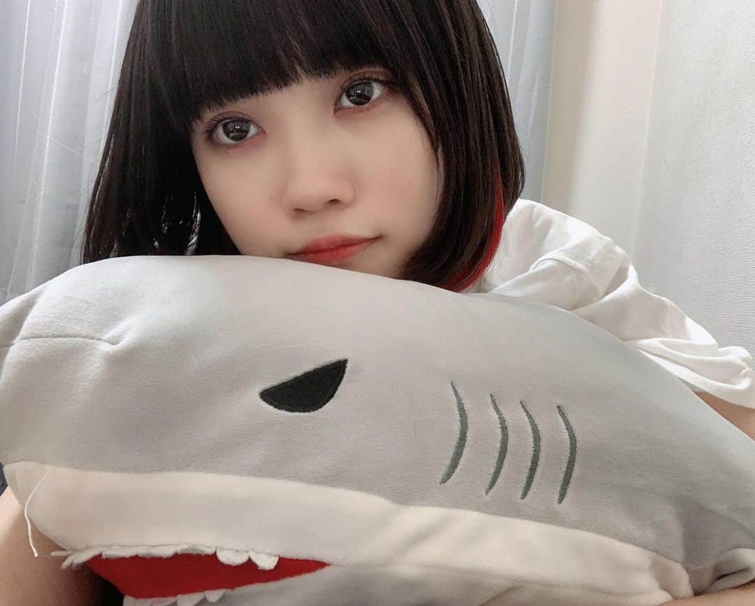 高辻麗さんのインスタグラム写真 - (高辻麗Instagram)「サメと寝ぞ！」5月18日 21時00分 - urara_tantan