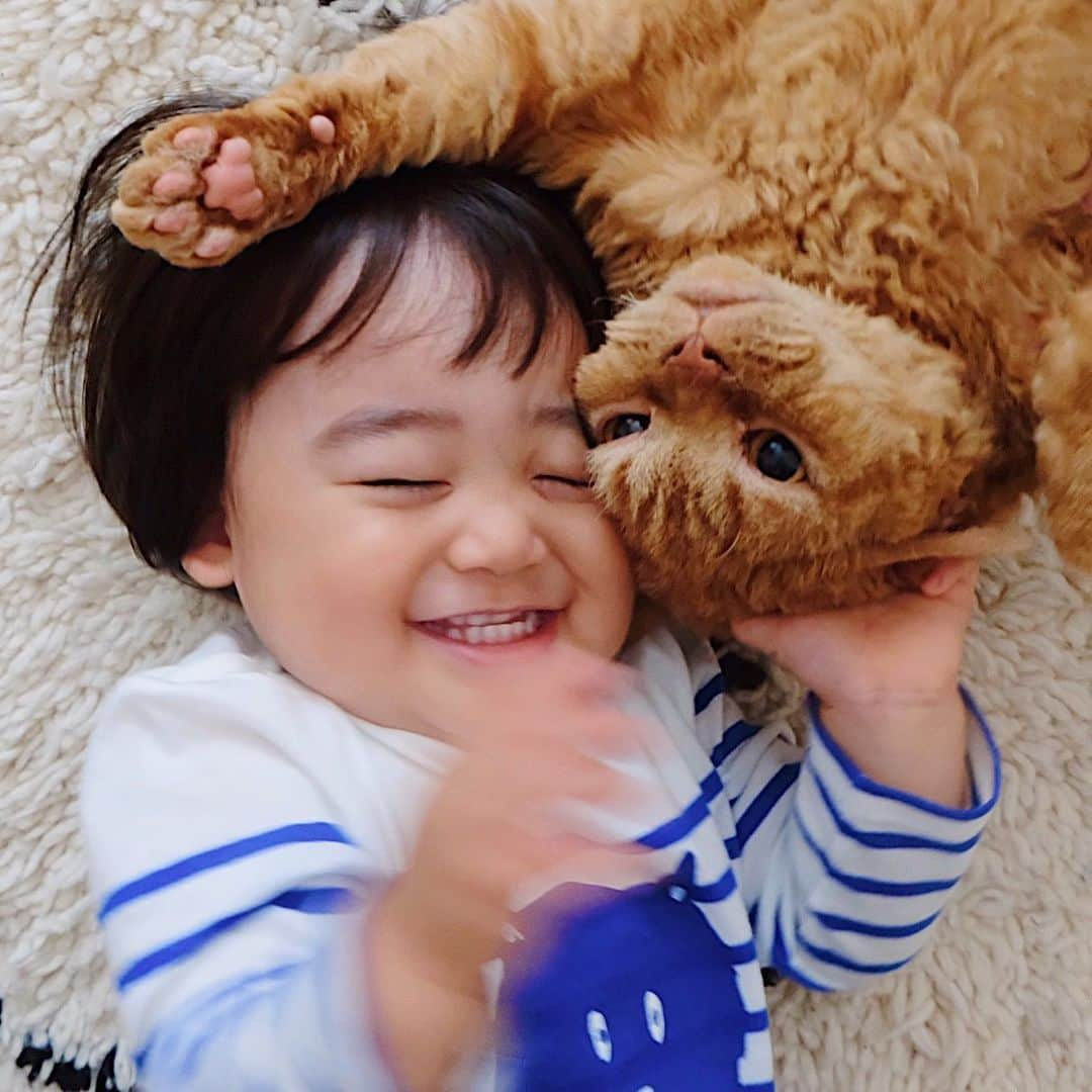 ギネス & ピムスさんのインスタグラム写真 - (ギネス & ピムスInstagram)「18/05/2020 Happy Monday! ・ Two brothers showing great affection. Have a great week everyone! ・ ・ ピム丸と凪ねこコンビ。 おててを握らせてもらって喜ぶ。 そして 上からすりすり攻撃ではしゃぐ。 最後の2枚は ふくれっ面と緩み顔。 全て雨降りの土曜日に撮りました☔️ それでは 今週もよろしくお願いします♬ ・ ・ #ピムスくん #ギネピムと凪くん  #1yearold #1歳 #1歳5ヶ月 #17monthsold  #babyboy #男の子ベビー #赤ちゃんのいる生活 #赤ちゃんのいる暮らし #赤ちゃんと猫 #猫と赤ちゃん#おうち時間」5月18日 22時07分 - rina_takei