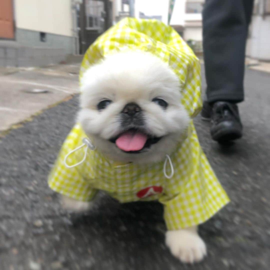 こなつのインスタグラム：「🌈明日は晴れますよーに🌝🌧💛」