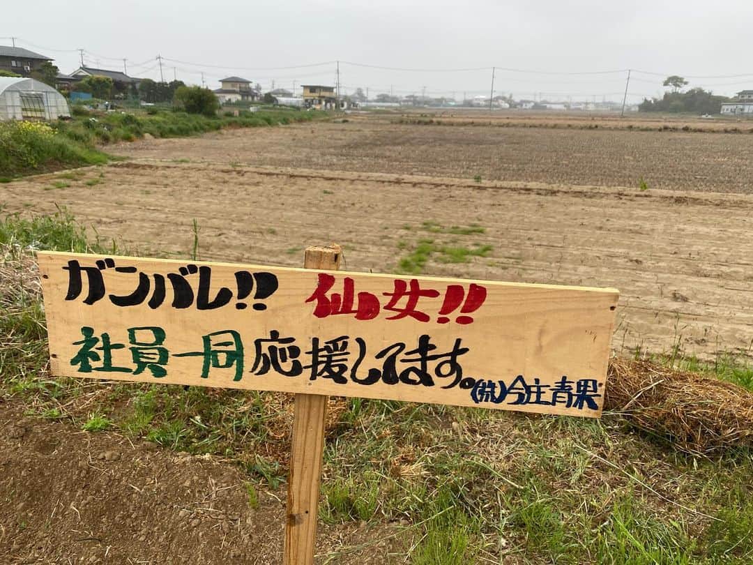里村明衣子さんのインスタグラム写真 - (里村明衣子Instagram)「Sendai Girls Prowrestling farm  #farm #Cucumber #tomato #poteto #cabbage #Bittergourd #仙女 #今庄青果」5月18日 23時08分 - meiko_satomura