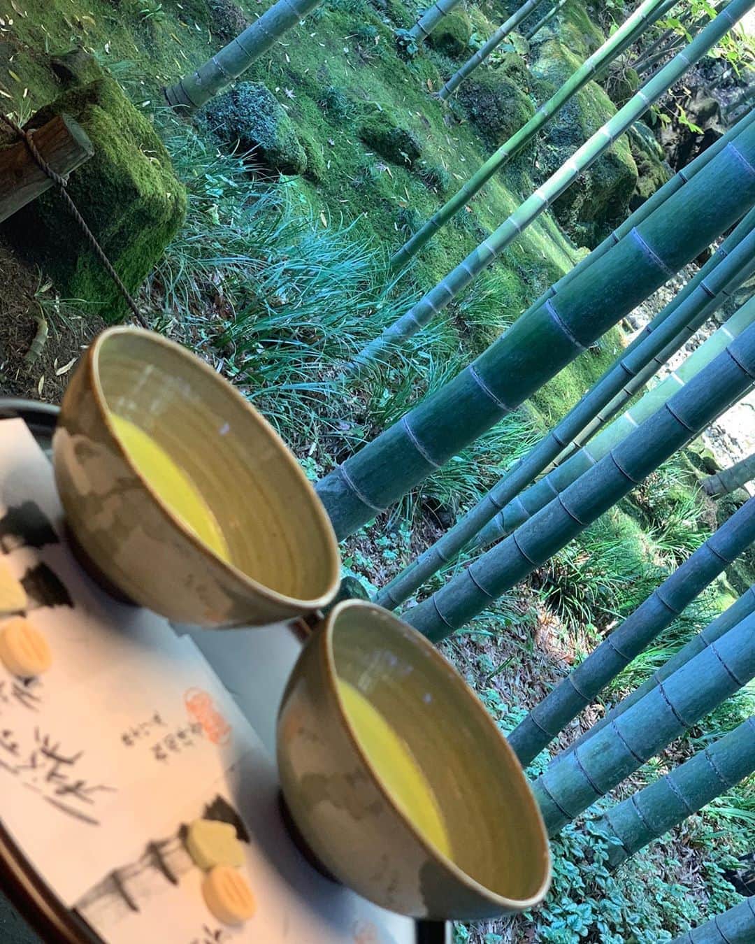 Chieluのインスタグラム：「自然の中で抹茶を飲むなどしたい#chielu #model #junesmodel 幼馴染と去年行った鎌倉観光はとてもとても素晴らしく楽しかった。」