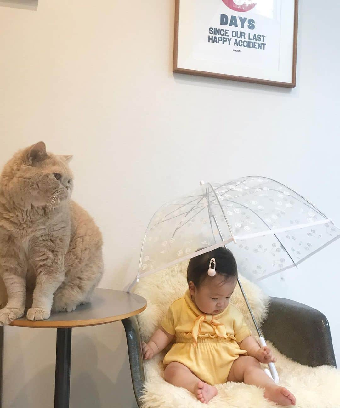 濱中鮎子さんのインスタグラム写真 - (濱中鮎子Instagram)「おうちで傘さして、おにぃと雨宿りごっこして(させられて)、ご機嫌だったお嬢。  おにぃは無表情ですが、傘が好きです。笑  #チャイ坊とお嬢  #bonpoint  #いくら以上だかでお買い物したらもらえちゃう⛱ #まだお嬢にはテント級 #お嬢もおにぃも母さんも父さんも太りだした我が家  #保育園から届くレシピ最高」5月18日 23時49分 - ayukohamanaka